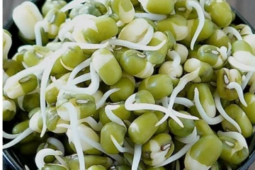 முளைக்கட்டிய பயிரில் சமைத்து தினமும் சாப்பிடலாமா? கட்டாயம் தெரிஞ்சிக்கோங்க...!