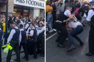 லண்டனில் புலம்பெயர்ந்தோர் ஒருவரை பொலிசார் தாக்கியதால் எதிர்ப்பு தெரிவித்து திரண்ட மக்கள்: பொலிசாருடன் மோதல்