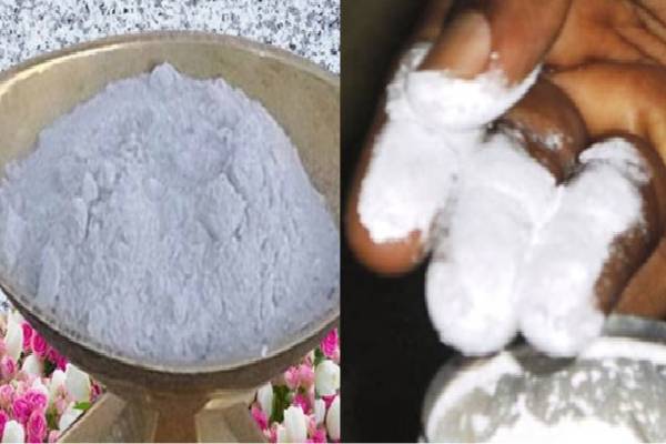 விபூதி எப்படித் தயாரிக்கப்படுகிறது தெரியுமா? முக்கிய மூலப்பொருள் இதுவா! | What Is The Main Ingredients Of Vibhuti