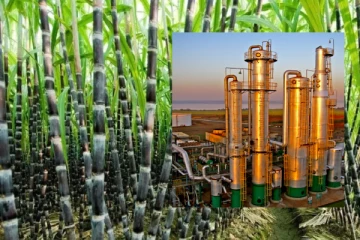 எத்தனால் உற்பத்தியில் கரும்புச்சாறு பயன்படுத்தலாம்; தடையை நீக்கிய இந்திய மத்திய அரசு