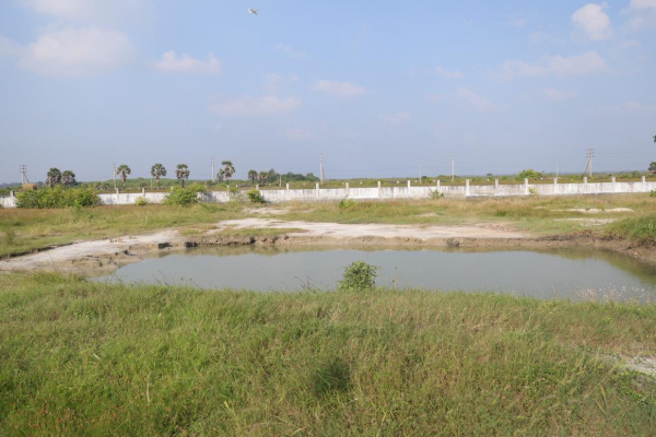 செம்மணி புதைகுழி வழக்கில் முக்கிய தீர்மானம்! | Important Decision Chemmani Burial Ground Case