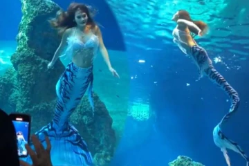 கடற்கன்னியாக வலம்வந்த பெண்... வாயடைத்துப் போன பார்வையாளர்கள்