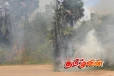 யாழ். வடமராட்சியில் பனை மரங்களுக்கு தீ வைப்பு