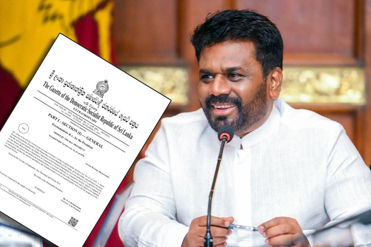 இறக்குமதி செய்யப்படும் வாகனங்களுக்கு மேலதிக வரி விதிப்பு : நிதி அமைச்சு அதிரடி | Sl Govt Imposes 50 Surcharge On Imported Vehicles