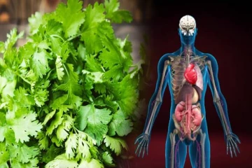 தூக்கியெறியும் கொத்தமல்லியில் இவ்வளவு நன்மைகளா? இனிமேல் மிஸ் பண்ணாதீங்க