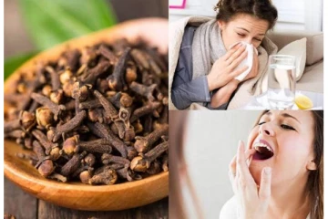 இரவில் தூங்குவதற்கு முன் 2 கிராம்புகளை வாய்க்குள் போட்டு மென்றால் என்ன நடக்கும் தெரியுமா?