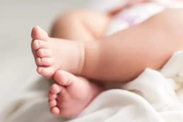 யாழ்ப்பாணத்தில் இடம்பெற்ற இருவேறு பரிதாப மரணங்கள் | Two Tragic Deaths In Jaffna