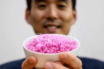 ජීවිතේටවත් මෙහෙම කරන්න පුළුවන් වෙයි කියලා හිතලා තියෙනවද? - මස් වලින් අලුත් සහල් වර්ගයක් නිපදවලා. - (VIDEO)