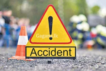 ළමුන් දෙදෙනෙකුට බරපතල තුවාල සිදු කල රිය අනතුර.