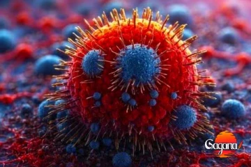 කොරෝනා නොවෙයි තවත් බිහිසුණු වෛරසයක්? - මෙන්න අනතුරු ඇඟවීම!