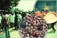 ஏறாவூர் வைத்தியசாலை படுகொலையின் 36 ஆவது ஆண்டு நினைவு தினம்