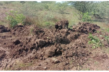 ஏரியில் மருத்துவக்கழிவுகள் கொட்டப்பட்டுள்ளதால் தொற்று பரவும் அபாயம்..! அச்சத்தில் கிராம மக்கள்..!