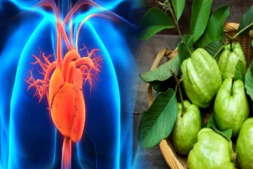 இதய நோய் காரணமாக ஏற்படும் வீக்கத்தை குறைக்கும் கொய்யா இலை- எத்தனை சாப்பிடணும்?