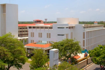 யாழில் எலிக்காய்ச்சலால் இராணுவ சிப்பாய் உயிரிழப்பு