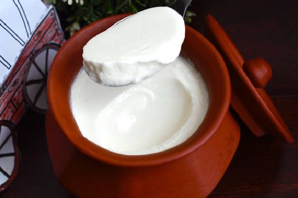 உடல் எடையை குறைக்க இந்த உணவுகளை உட்கொள்ளுங்க | Eat These Foods To Lose Weight