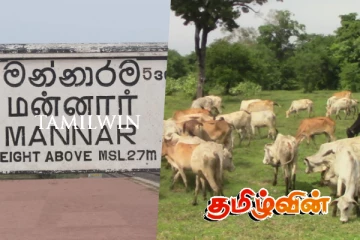 மன்னாரில் தொடரும் அவலம் : நடவடிக்கை எடுக்க மக்கள் வலியுறுத்து