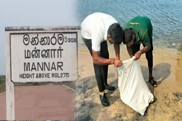 மன்னாரில் அரிய வகை ஆமையுடன் மூவர் கைது