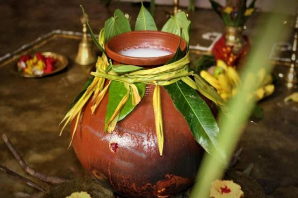 இந்த நேரத்தில் பொங்கலை வையுங்கள்: மகிழ்ச்சியும் செல்வமும் வந்து சேரும்! | Thai Pongal Festival Brings Happiness And Wealth