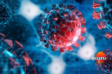 නත්තලට කළින්ම එන නරක ආරංචිය - දශක ගණනකට පසු එංගලන්තයේ දරුණු රෝගයක්