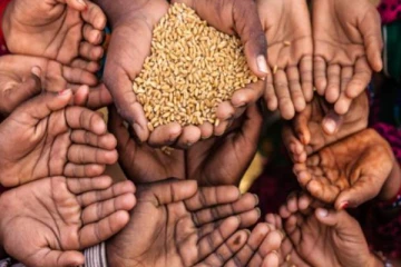 உலகளாவிய உணவு நெருக்கடிக்கு ஆளான 48 நாடுகள்!IMF தகவல்