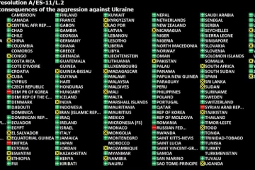 ரஷ்யாவுக்கு எதிரான ஐக்கிய நாடுகளின் வாக்களிப்பை புறக்கணித்த இலங்கை!