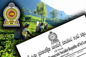 தோட்டத் தொழிலாளர் சம்பளம் குறித்த இறுதி முடிவு: ஒன்று கூடவுள்ள வேதன நிர்ணய சபை