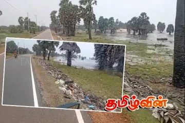 யாழில் அகற்றப்படாத குப்பைகளால் நோய் பரவும் அபாயம்..