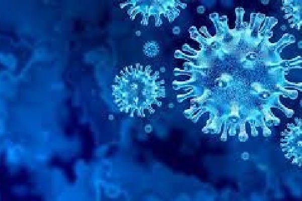 கனடாவில் மீண்டும் கோவிட் வைத்தியசாலை அனுமதிகளில் உயர்வு | Covid 19 Hospitalizations Reach Numbers