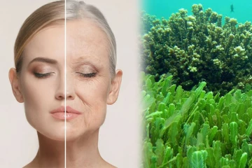 வயதானாலும் முகத்தில் சுருக்கம் வரவே கூடாதுன்னு நினைக்கறவங்க இத ட்ரை பண்ணி பாருங்க!