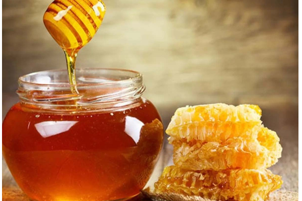 காலையில் கட்டாயம் சாப்பிட வேண்டிய உணவு! நாள்முழுவதும் இந்த பிரச்சினையே இருக்காதாம் | Best 5 Breakfast Foods Digestive System In Tamil