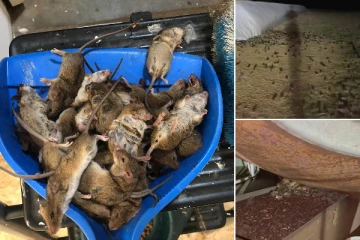தூக்கத்தில் பெண்ணுக்கு நடந்த அவலம்.... விழித்து பார்த்த போது காத்திருந்த பேரதிர்ச்சி