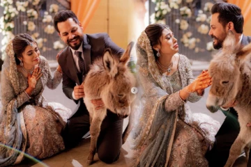 திருமண பரிசாக கழுதைக்குட்டி! மணமகளை வியப்பில் ஆழ்த்திய மணமகன்: காரணம் தெரியுமா?