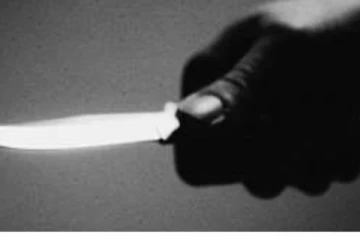 රජයේ අධි නීතිඥවරියකට පිහි ප්‍රහාරයක්..