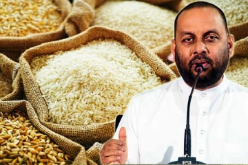 நாட்டின் அரிசித் தட்டுப்பாடு தொடர்பில் விவசாய அமைச்சர் வெளியிட்ட தகவல்