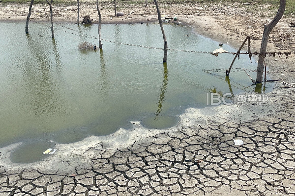 மன்னாரில் வறட்சியின் கோரம் - வற்றியுள்ள நீர்நிலைகள்! | Severe Drought In Mannar Many Affected