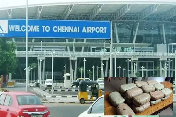 வெளிநாட்டிலிருந்து சென்னைக்குக் கொண்டுவரப்பட்ட போதைப்பொருள்: பெண் உட்பட இருவர் கைது | 2 Arrested In Chennai Airport Smuggle Ganja