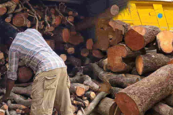 யாழில் சிறிய ரக லொறியில் சிக்கிய பல இலட்சம் பெறுமதியான பொருட்கள் | Valuable Goods Seized From Small Lorry In Jaffna