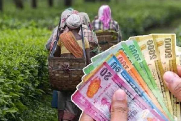 தோட்ட தொழிலாளர்களின் சம்பள உயர்வு! ஜனாதிபதிக்கு தொழிலாளர்கள் நன்றி தெரிவிப்பு | Salary Increase Plantation Workers Thanks Anura