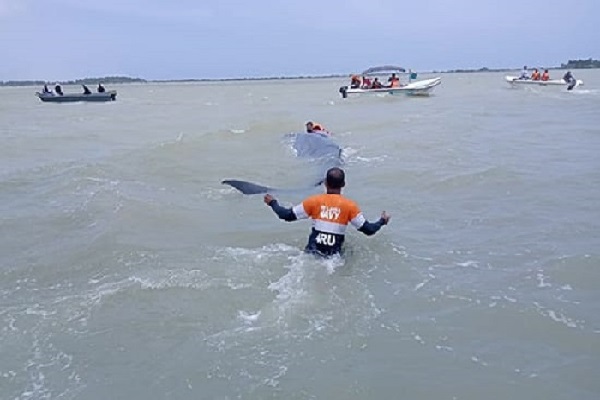 கற்பிட்டியில் கரைஒதுங்கிய பாரிய திமிங்கலம் | Massive Whale Washed Ashore At Karpiti