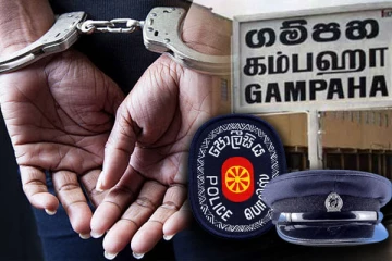 பாரிய பண மோசடிகளில் ஈடுபட்டு வந்த பெண் கைது