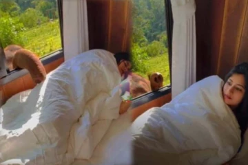 இன்னும் என்ன தூக்கம்? ஆழ்ந்த நித்திரையில் இருந்த பெண்ணுக்கு யானை கொடுத்த ஷாக்