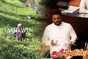 வரவு செலவு திட்டம் குறித்து கருத்து வெளியிட்ட மலையக தோட்ட தொழிலாளர்கள்