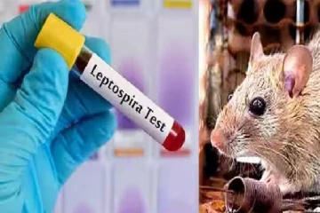 எலிக்காய்ச்சல் தொடர்பில் மக்களுக்கு விடுக்கப்பட்டுள்ள எச்சரிக்கை!