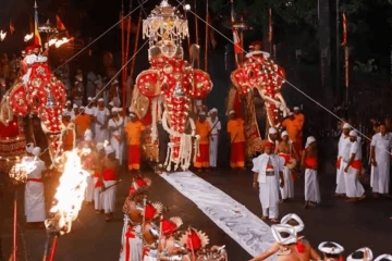 අවසන් රන්දෝලි පෙරහර වීථි සංචාරය අරඹයි