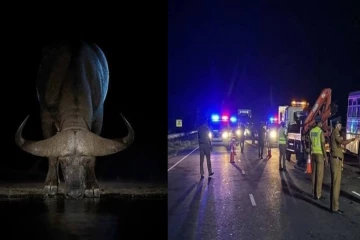 திருகோணமலையில் இரவில் எருமை மாட்டால் வந்த வினை ; பறிபோன உயிர்