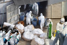 10 லட்சம் பறவைகளை கொல்லும் நாடு! எதற்காக? - இப்படிக்கு உலகம்