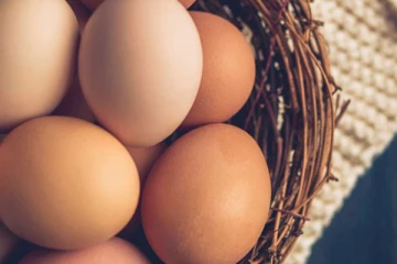 முட்டையில் தொடரும் சிக்கல் - விதிக்கப்பட்டுள்ள தடை