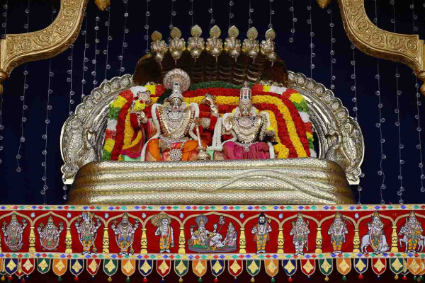 திருமணமாகாத பெண்கள் மறந்தும் கூட இந்த ஒரு விஷயத்தை செய்யாதீர்கள் | Things We Should Do And Donts On Ekadashi Day