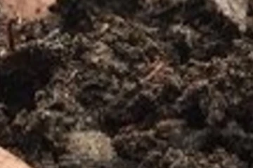 නාය යෑමකින් තිදෙනෙකු මරුට