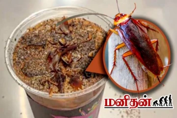 கரப்பான் பூச்சி மிதக்கும் காபி.. விரும்பி குடிக்கும் இளைஞர்கள்- 1 கப் எவ்வளவு தெரியுமா?